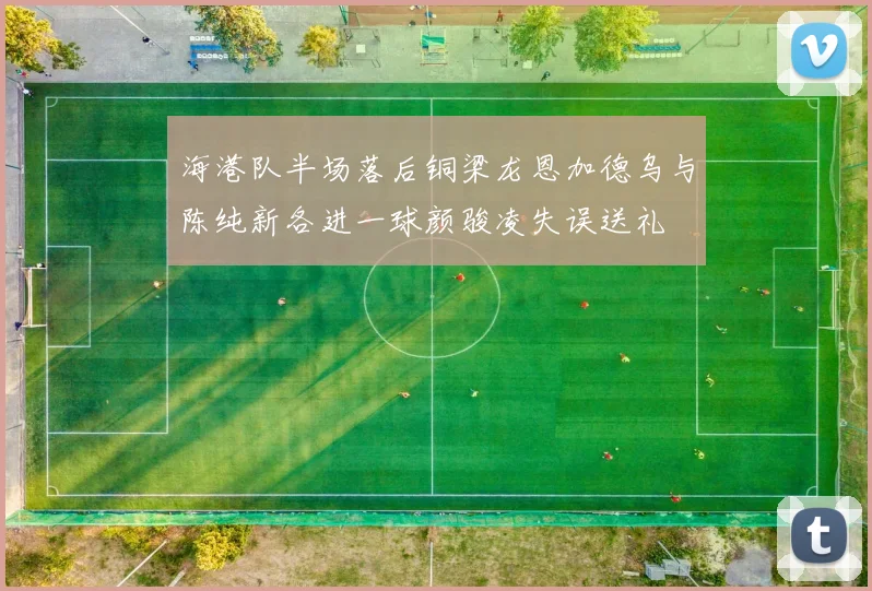 海港队半场落后铜梁龙恩加德乌与陈纯新各进一球颜骏凌失误送礼